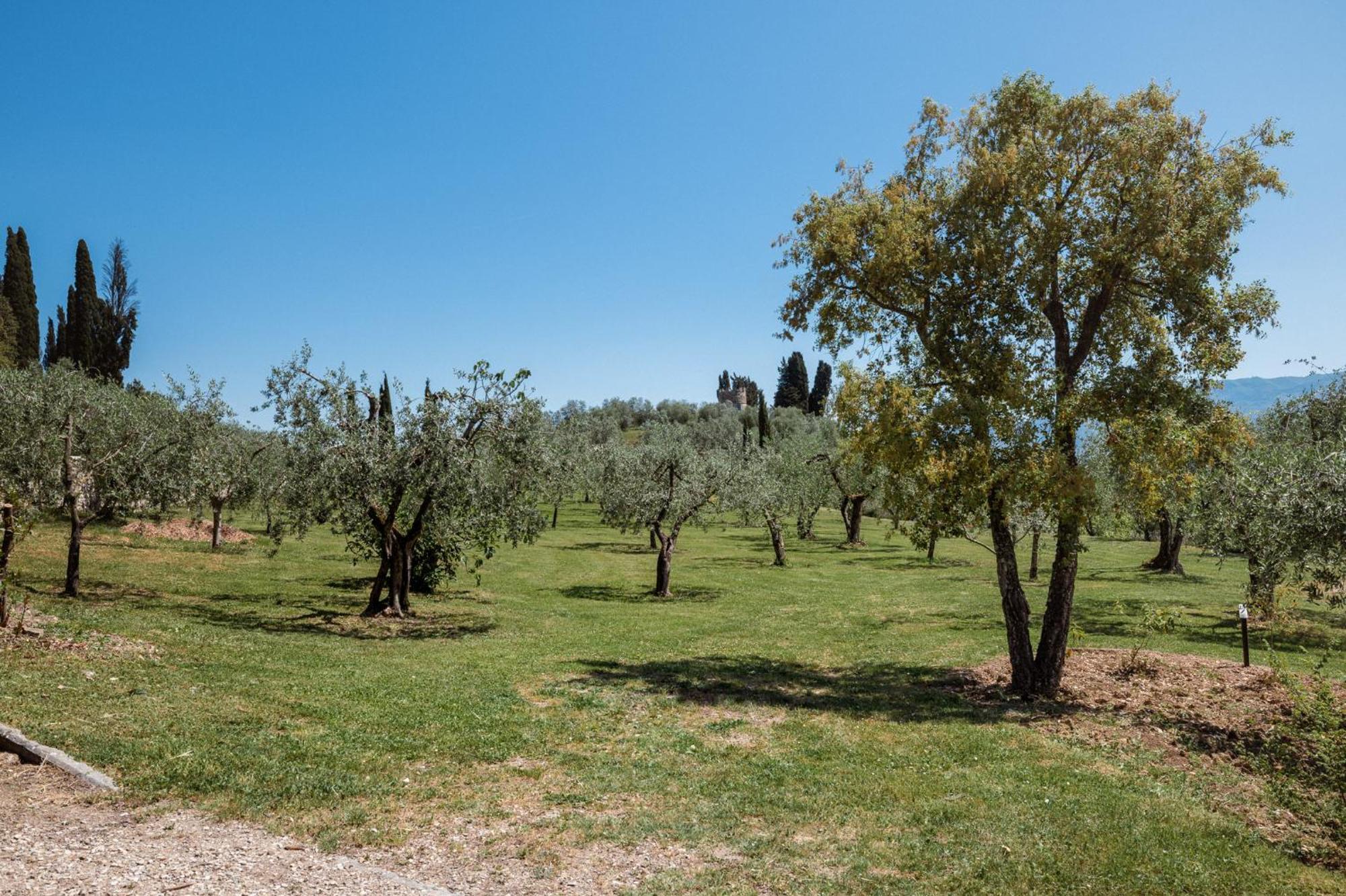 Casamaggio Villa San Donato in Collina Екстериор снимка